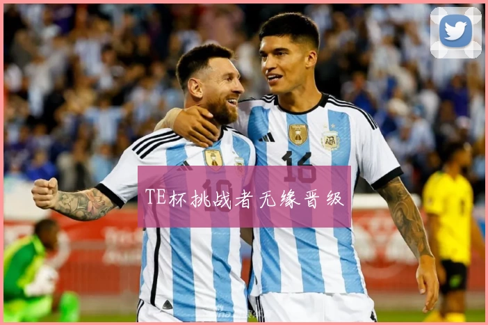 TE杯挑战者无缘晋级