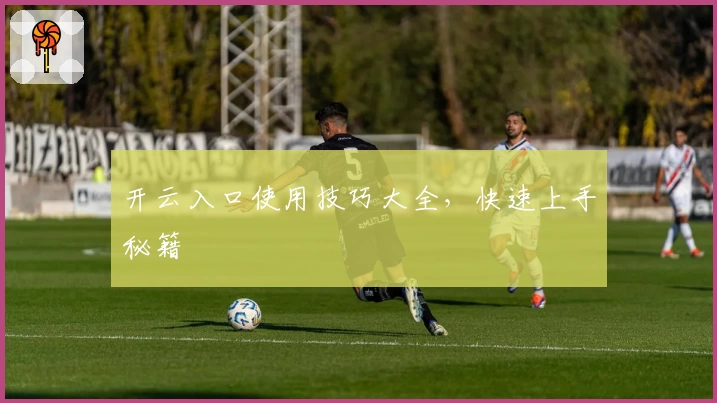 开云入口使用技巧大全，快速上手秘籍