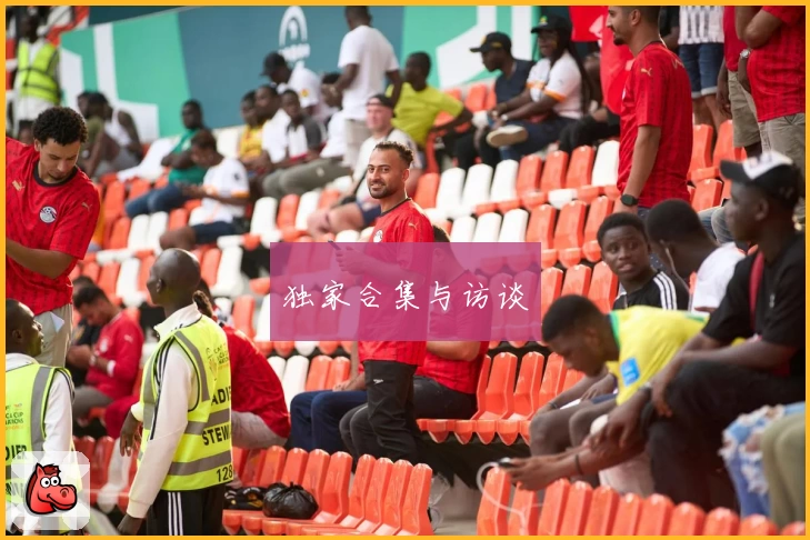 独家合集与访谈