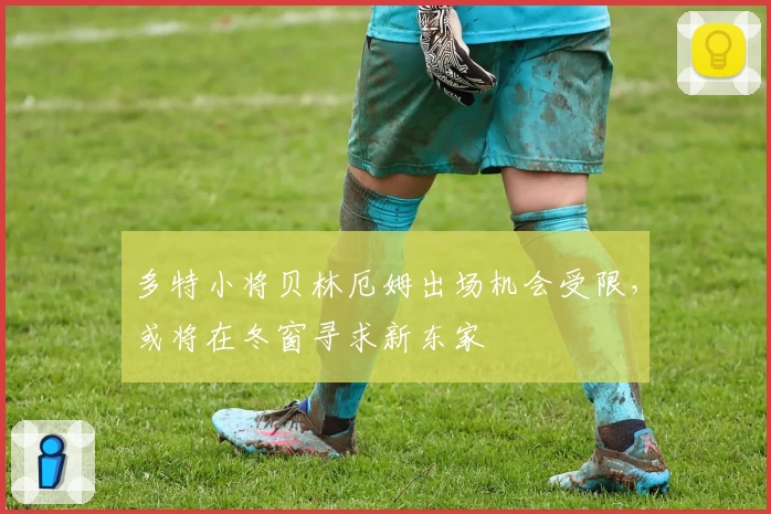 多特小将贝林厄姆出场机会受限，或将在冬窗寻求新东家