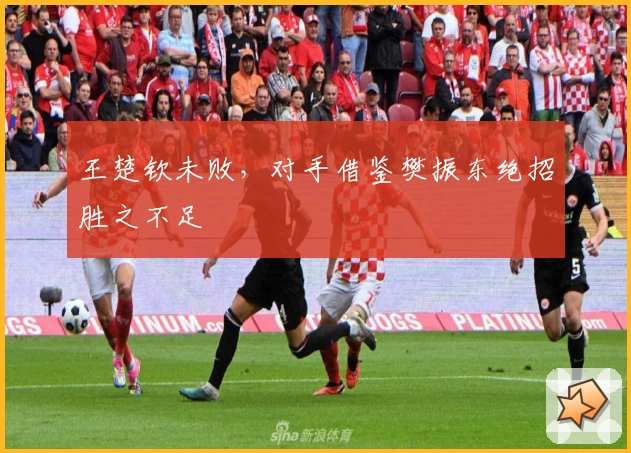 王楚钦未败，对手借鉴樊振东绝招胜之不足